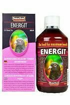 Energit holuby 500ml