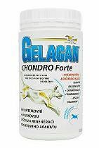 Gelacan Chondro Forte 500g