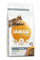 Iams Cat Adult IND Chicken 2kg zľava