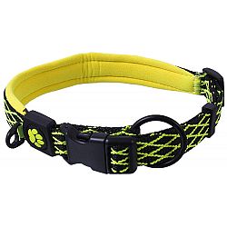 Active Dog mystic obojok L 2,5x53-64 cm limetka