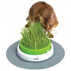 Catit miska na trávu pre mačky Catit Senses 2.0 Grass Planter