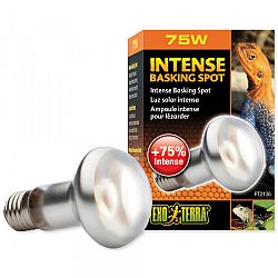 Exo Terra žiarovka Intense Basking Spot 75 W