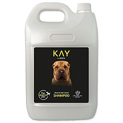 KAY šampón s aloe vera 5 l