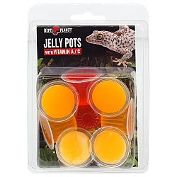 Repti Planet krmivo Jelly Pots Fruit 8 ks