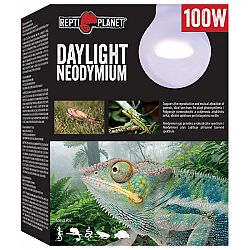 Repti Planet žiarovka Daylight Neodymium 100W