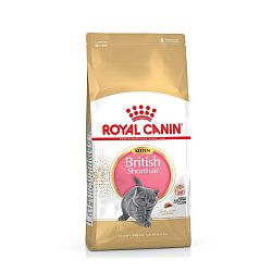 Royal Canin Kitten British Shorthair 400 g