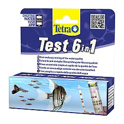 Test Tetra 6v1