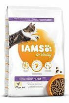 Iams Cat Kitten Chicken 10kg zľava