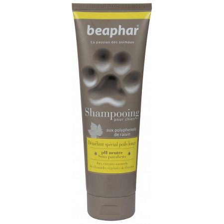 BEA SHAMPOOING 2in1 250ml