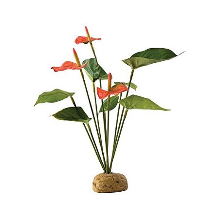 Exo Terra Anthurium Bush