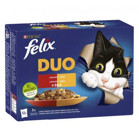 FELIX kapsičky Fantastic DUO kura/hovädzie/morka/jahňa 12 x 85 g