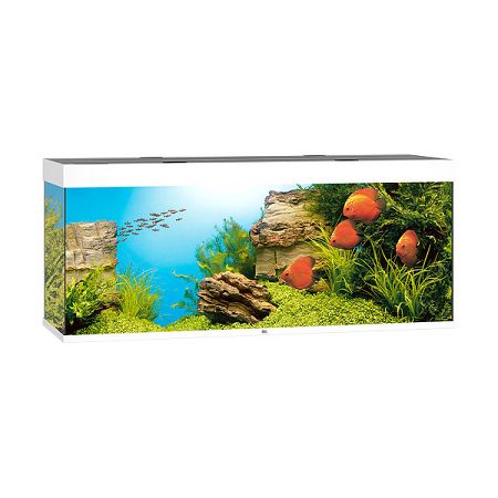 Juwel akvárium Rio LED 450 biele 151 x 51 x 66 cm 450 l