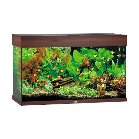 Juwel akvárium set Rio LED 125 tm. hnedé 81 x 36 x 50 cm 125 l