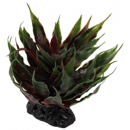 Repti Planet Rastlina sukulent Agave zelena 18cm