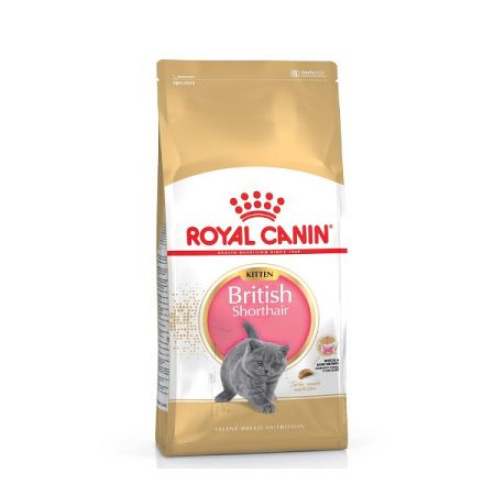 Royal Canin Kitten British Shorthair 2kg